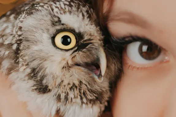 Paradise Casino Ondersteuning